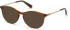 SWAROVSKI SK5365 sunglasses in Dark Brown/Other