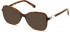 SWAROVSKI SK5339 sunglasses in Dark Havana