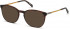 TIMBERLAND TB1670-53 sunglasses in Dark Havana