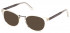 GANT GA3215 sunglasses in Shiny Beige