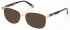 GANT GA3225-54 sunglasses in Beige/Other