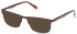 GANT GA3226 sunglasses in Matte Dark Brown