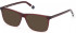 GANT GA3230-52 sunglasses in Red/Other