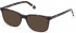 GANT GA3232 sunglasses in Dark Havana