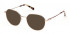 GANT GA4097 sunglasses in Pale Gold