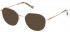 GANT GA4097 sunglasses in Shiny Rose Gold