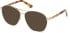 GUESS BY MARCIANO GM0358 sunglasses in Pale Gold