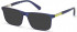 GUESS GU1982-53 sunglasses in Matte Blue