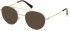 GUESS GU1985 sunglasses in Pale Gold