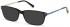 GUESS GU1986-55 sunglasses in Shiny Black