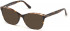 GUESS GU2723-52 sunglasses in Havana/Other