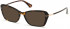 GUESS GU2752-50 sunglasses in Dark Havana