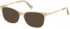 GUESS GU2754-56 sunglasses in Beige/Other