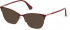 GUESS GU2787-52 sunglasses in Matte Bordeaux