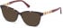 GUESS GU2832-52 sunglasses in Bordeaux/Other