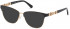 GUESS GU2833 sunglasses in Matte Black