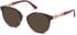 GUESS GU2834 sunglasses in Bordeaux/Other