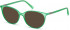 GUESS GU3056 sunglasses in Matte Light Green