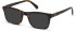 GUESS GU50002 sunglasses in Dark Havana