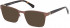 GUESS GU50019 sunglasses in Dark Brown/Other