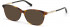 SWAROVSKI SK5371 sunglasses in Dark Havana
