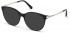 SWAROVSKI SK5372 sunglasses in Shiny Black