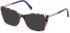 SWAROVSKI SK5383 sunglasses in Coloured Havana