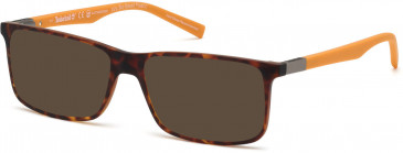 TIMBERLAND TB1650-55 sunglasses in Dark Havana