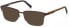 TIMBERLAND TB1653-56 sunglasses in Matte Dark Brown