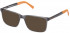 TIMBERLAND TB1673 sunglasses in Grey/Other