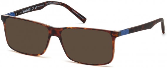 TIMBERLAND TB1650-55 sunglasses in Havana/Other