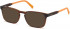 TIMBERLAND TB1624 sunglasses in Dark Havana