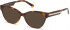 SWAROVSKI SK5392-55 sunglasses in Dark Havana