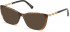 SWAROVSKI SK5383 sunglasses in Light Brown/Other