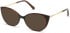 SWAROVSKI SK5362 sunglasses in Shiny Dark Brown