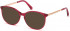 SWAROVSKI SK5309 sunglasses in Bordeaux/Other