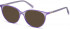 GUESS GU3056 sunglasses in Shiny Violet