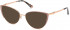 GUESS GU2813 sunglasses in Matte Beige