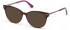 GUESS GU2799-52 sunglasses in Dark Havana
