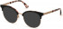 GUESS GU2744-49 sunglasses in Black/Other