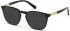 GUESS GU1980 sunglasses in Shiny Black