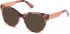 GUESS BY MARCIANO GM0357 sunglasses in Pink/Other