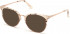 GUESS BY MARCIANO GM0351 sunglasses in Blonde Havana