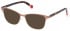 GANT GA4105-53 sunglasses in Matte Dark Brown