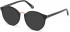 GANT GA4092 sunglasses in Shiny Black