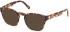 GANT GA3219 sunglasses in Blonde Havana
