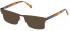 GANT GA3210 sunglasses in Matte Dark Brown