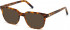 GANT GA3208 sunglasses in Blonde Havana