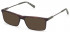 TIMBERLAND TB1675-53 sunglasses in Dark Havana