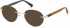 TIMBERLAND TB1656 sunglasses in Pale Gold